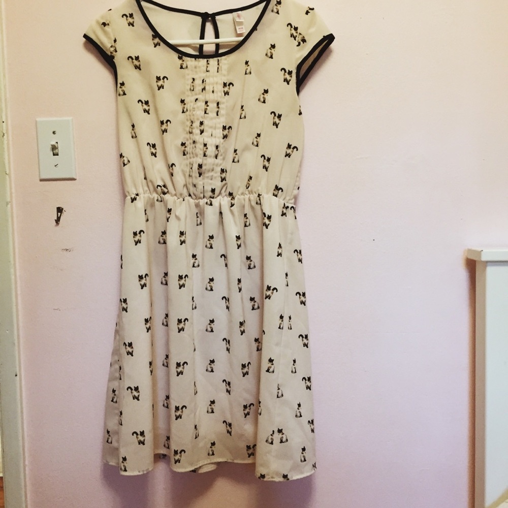 cute cat dress
